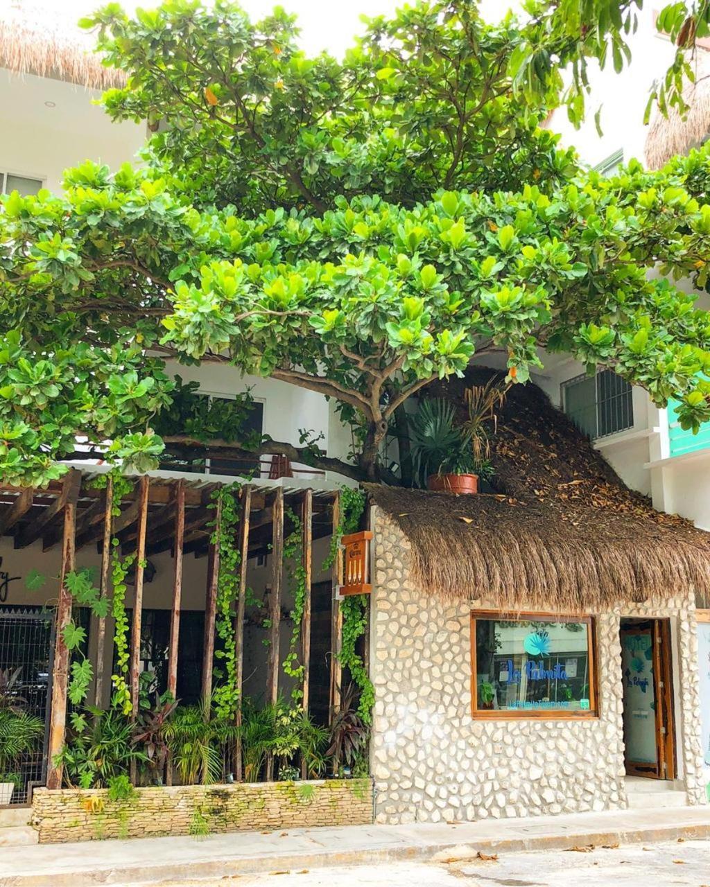 Hotel La Palmita By Mij ตูลุม ภายนอก รูปภาพ