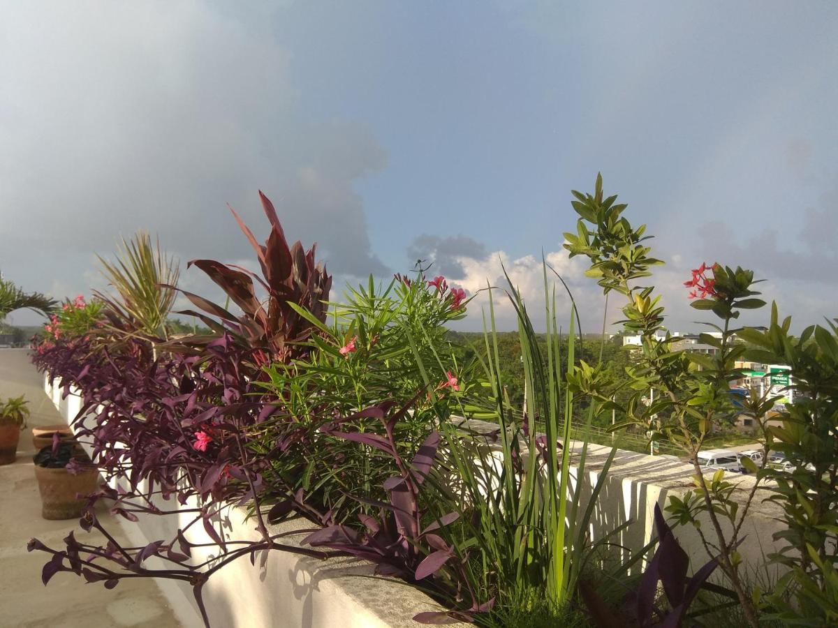 Hotel La Palmita By Mij ตูลุม ภายนอก รูปภาพ
